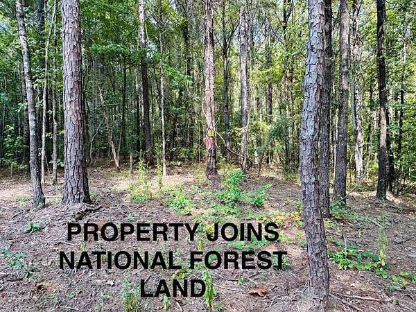 70 Acres of Land for Sale in Thaxton, Mississippi