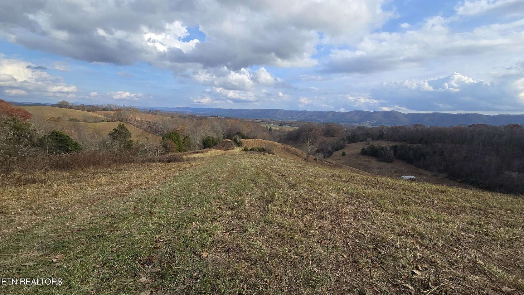 53 Acres of Land for Sale in Rose Hill, Virginia