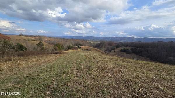53 Acres of Land for Sale in Rose Hill, Virginia
