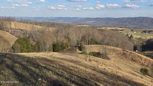 53 Acres of Land for Sale in Rose Hill, Virginia