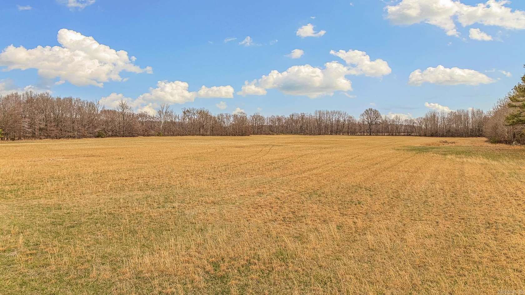 16.1 Acres of Land for Sale in Paragould, Arkansas