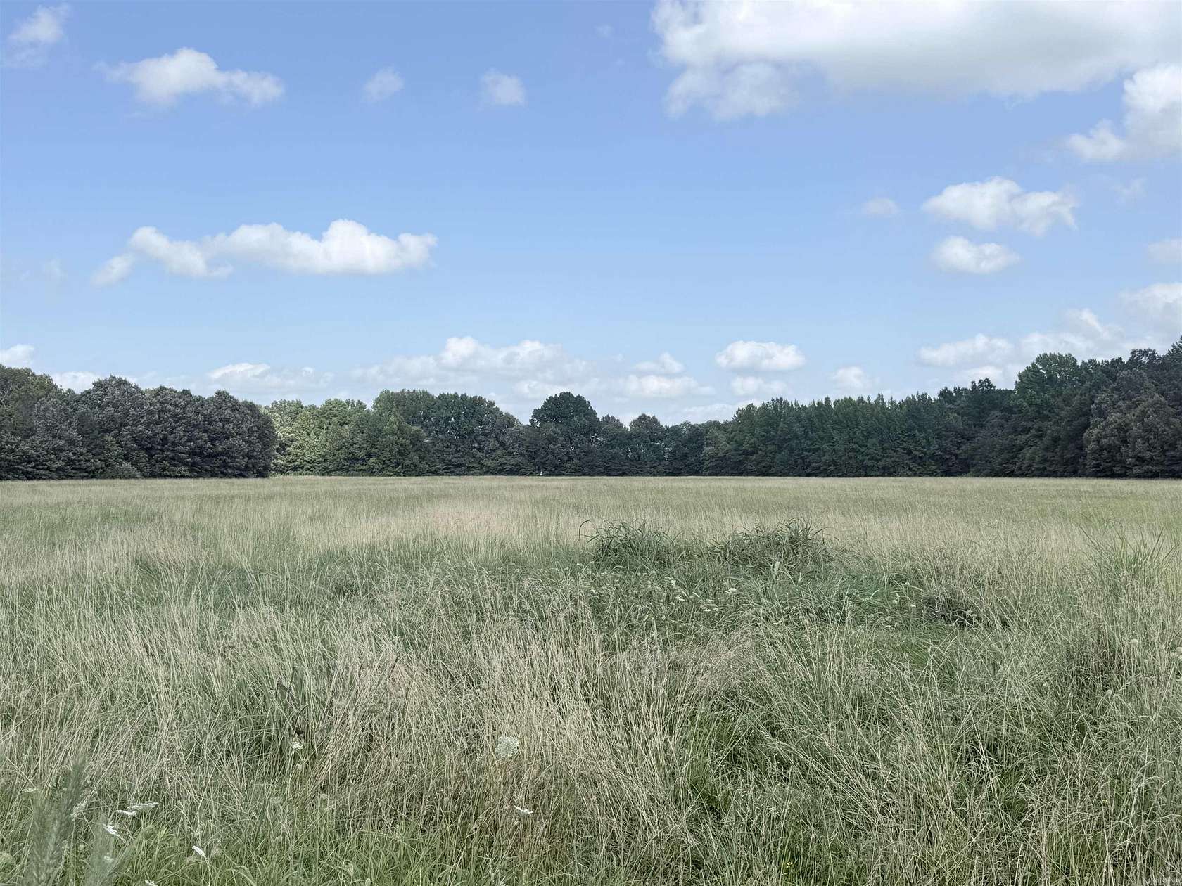 16.1 Acres of Land for Sale in Paragould, Arkansas
