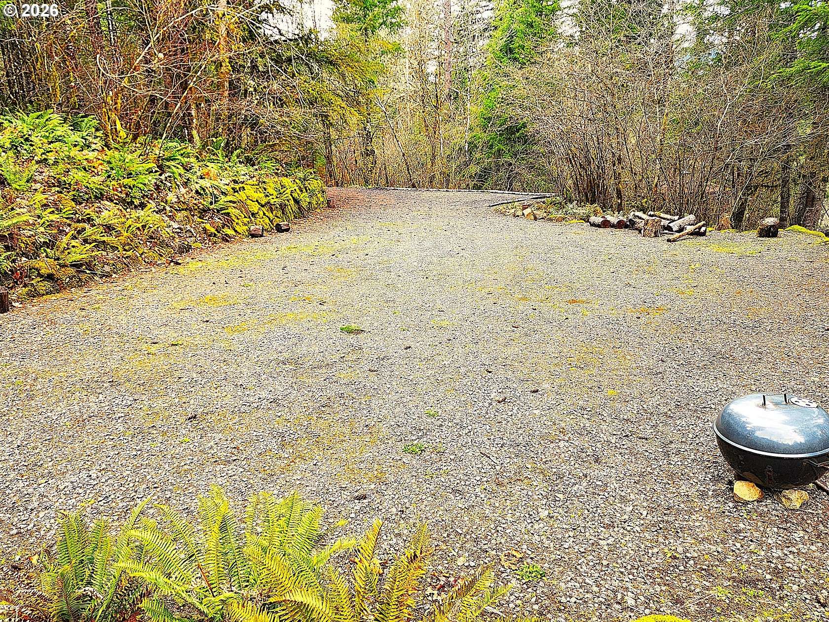 2.5 Acres of Residential Land for Sale in Blue River, Oregon