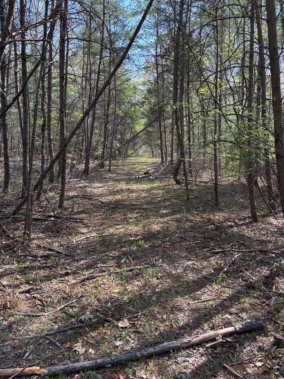 0.25 Acres of Residential Land for Sale in Rockwood, Tennessee