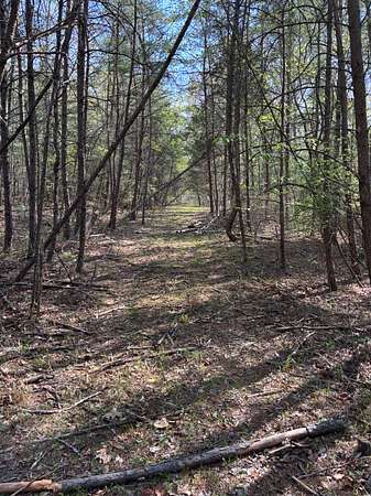 0.25 Acres of Residential Land for Sale in Rockwood, Tennessee