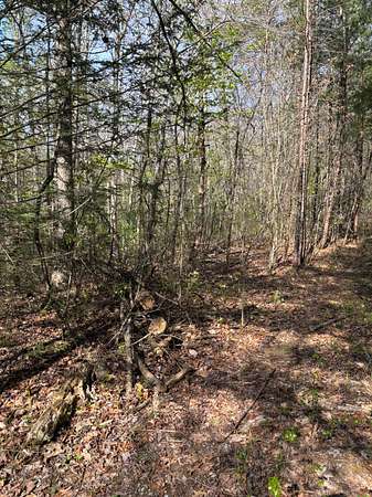 0.25 Acres of Residential Land for Sale in Rockwood, Tennessee