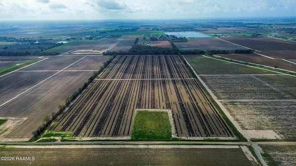 31 Acres of Recreational & Residential Land for Sale in Maurice, Louisiana