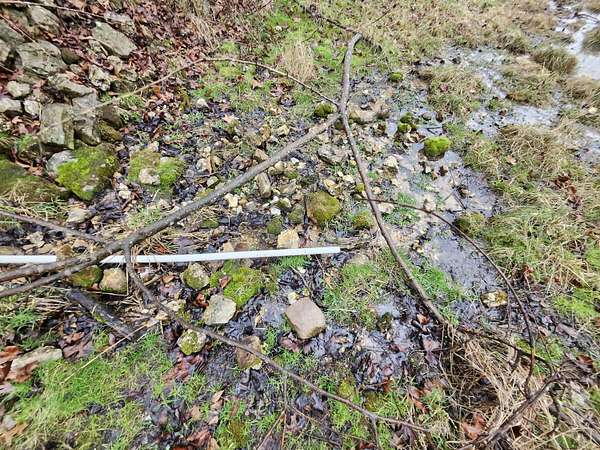 38 Acres of Land for Sale in Mountain Grove, Missouri