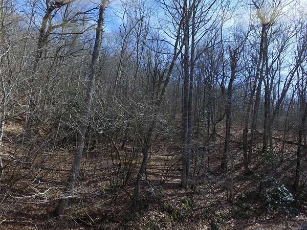 7.59 Acres of Residential Land for Sale in Glenville, North Carolina