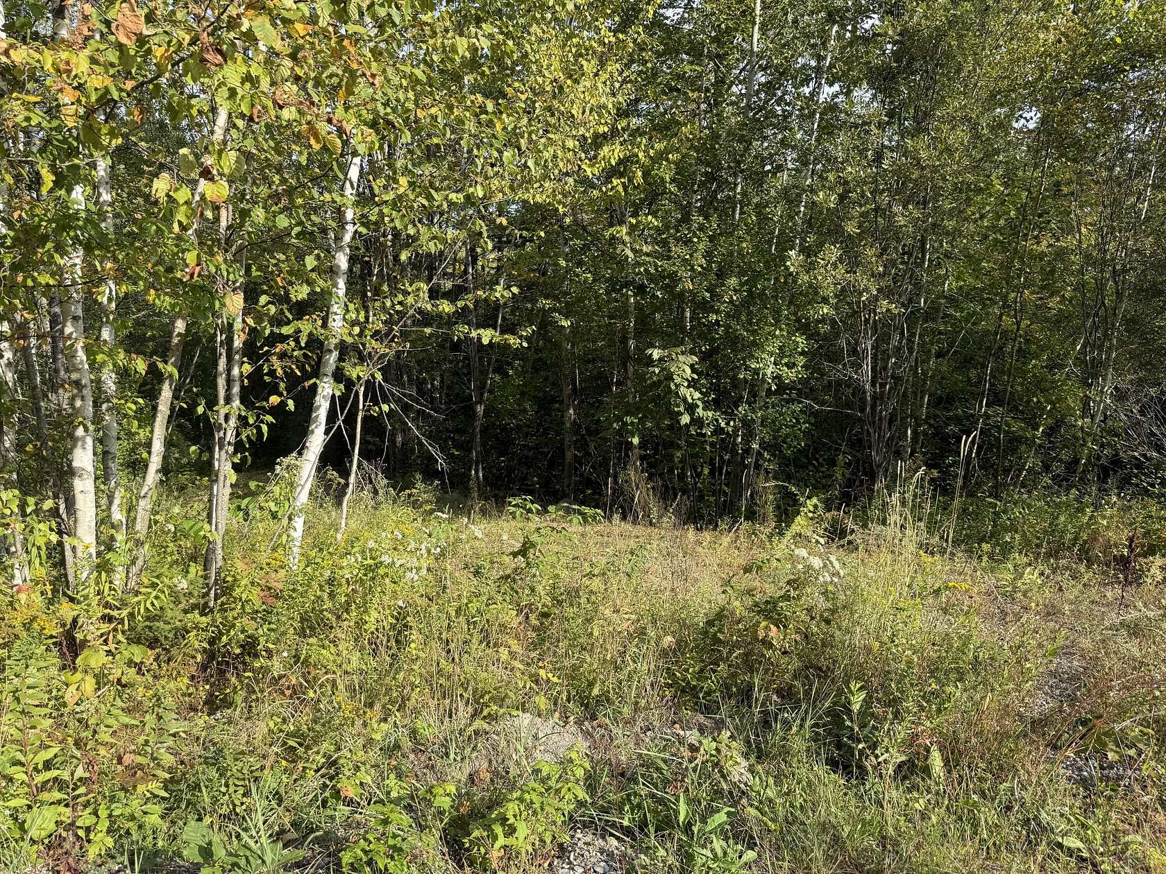 4.14 Acres of Residential Land for Sale in Belfast, Maine