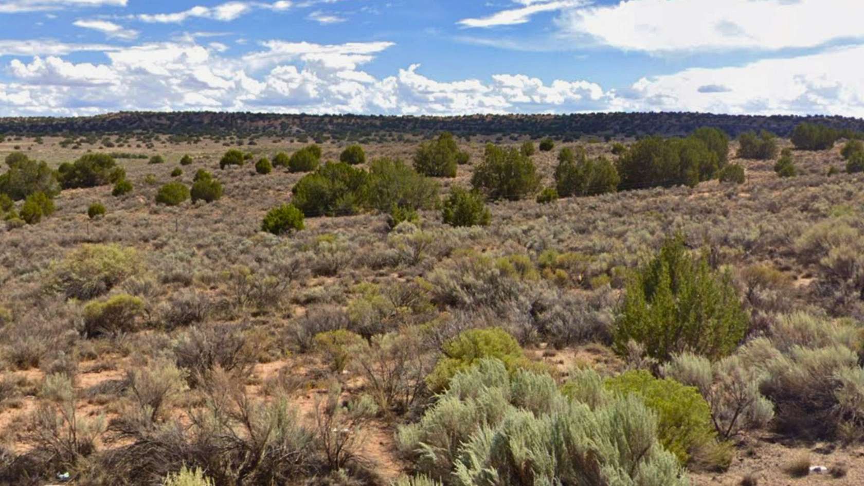 1 Acre of Residential Land for Sale in Chambers, Arizona