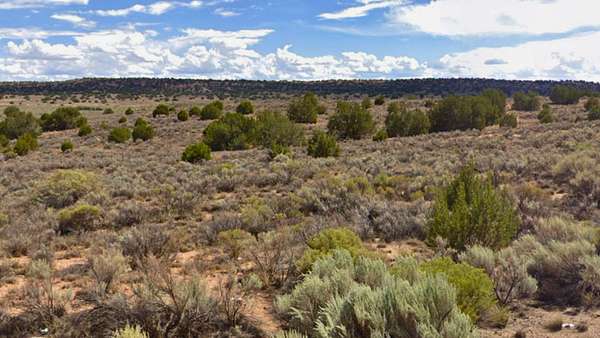 1 Acre of Residential Land for Sale in Chambers, Arizona
