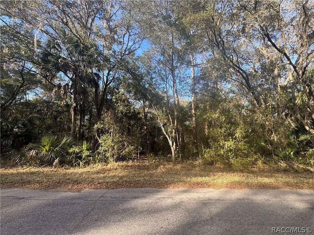 1 Acre of Residential Land for Sale in Crystal River, Florida
