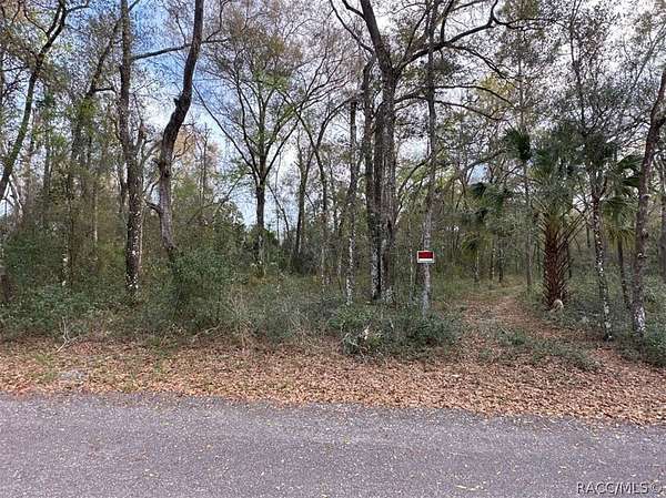 0.22 Acres of Residential Land for Sale in Inverness, Florida