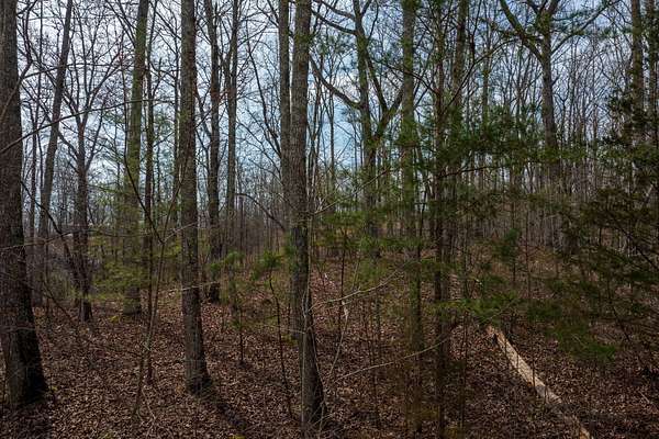 5 Acres of Residential Land for Sale in Philadelphia, Tennessee