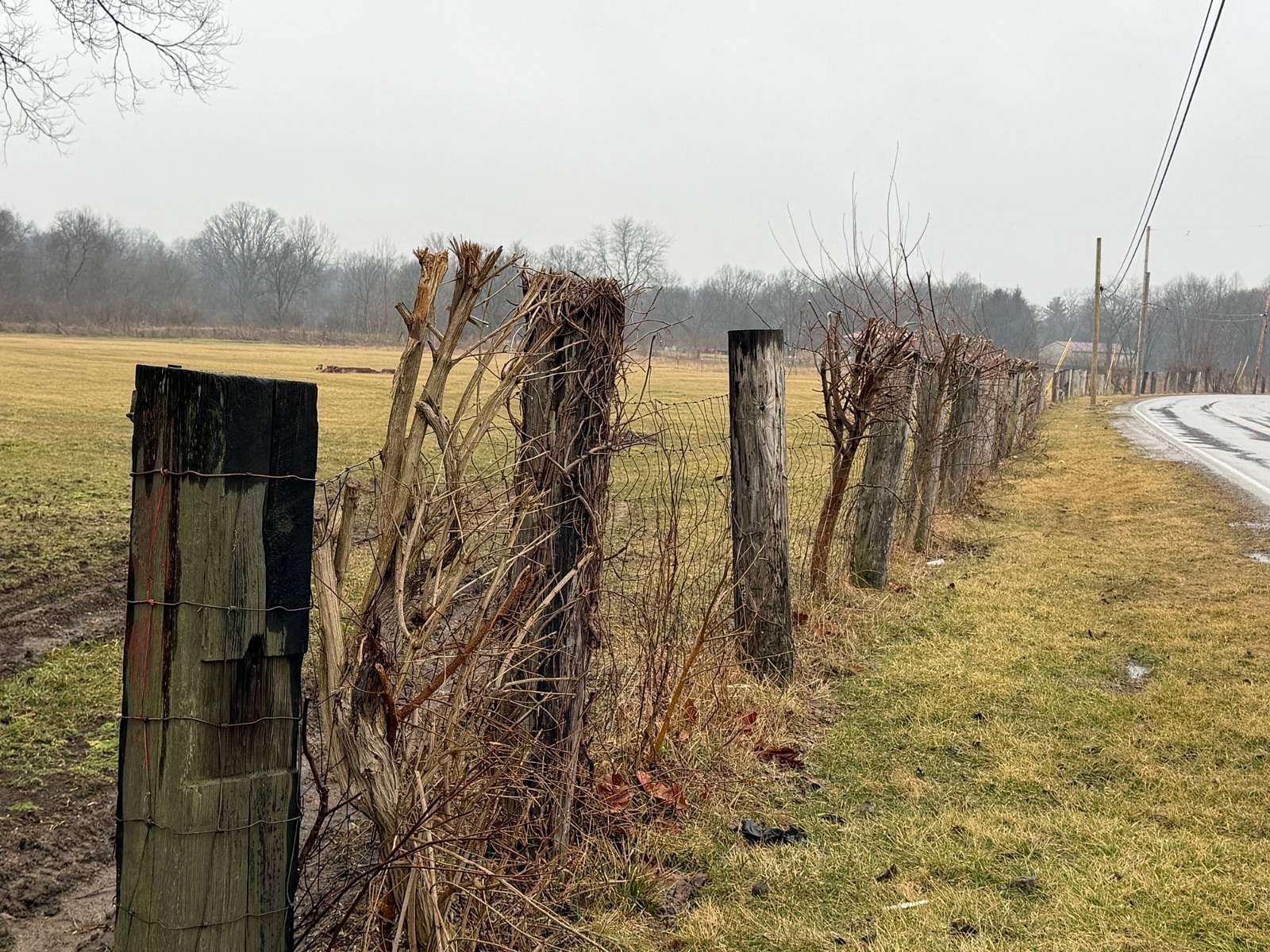 6 Acres of Land for Sale in Springfield, Ohio