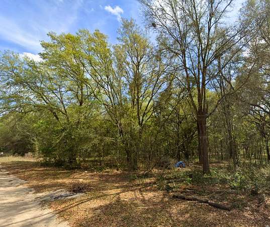 0.23 Acres of Residential Land for Sale in Interlachen, Florida