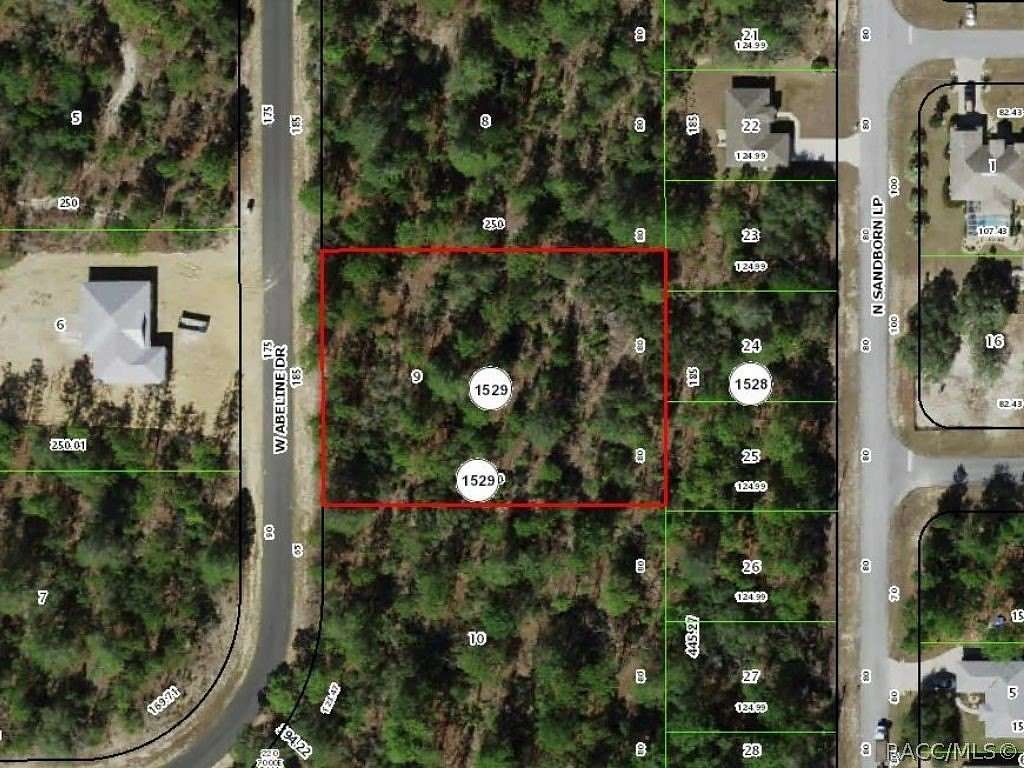 1 Acre of Residential Land for Sale in Citrus Springs, Florida