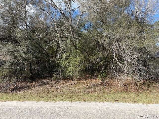 0.23 Acres of Residential Land for Sale in Dunnellon, Florida
