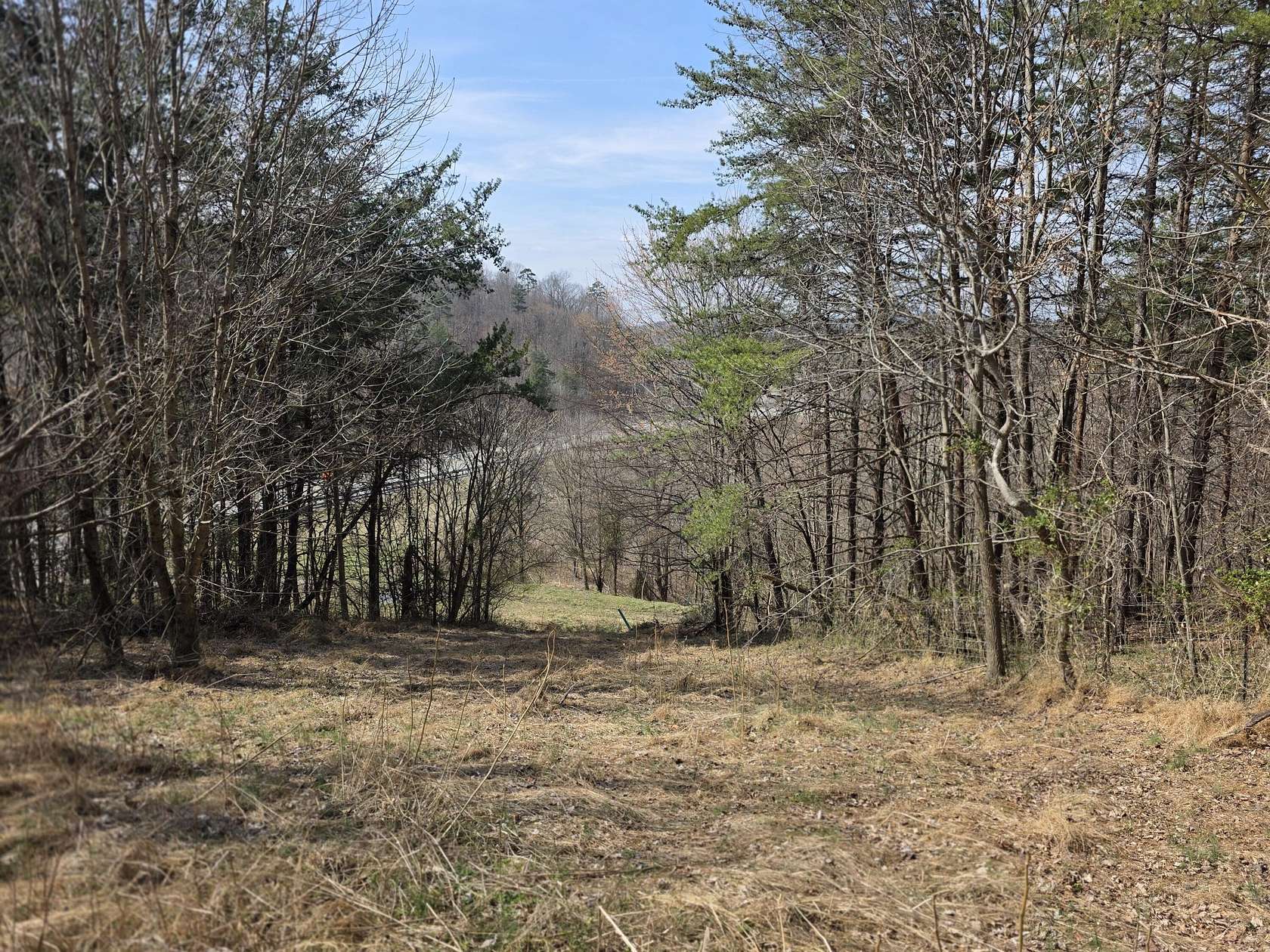 35 Acres of Land for Sale in Corbin, Kentucky