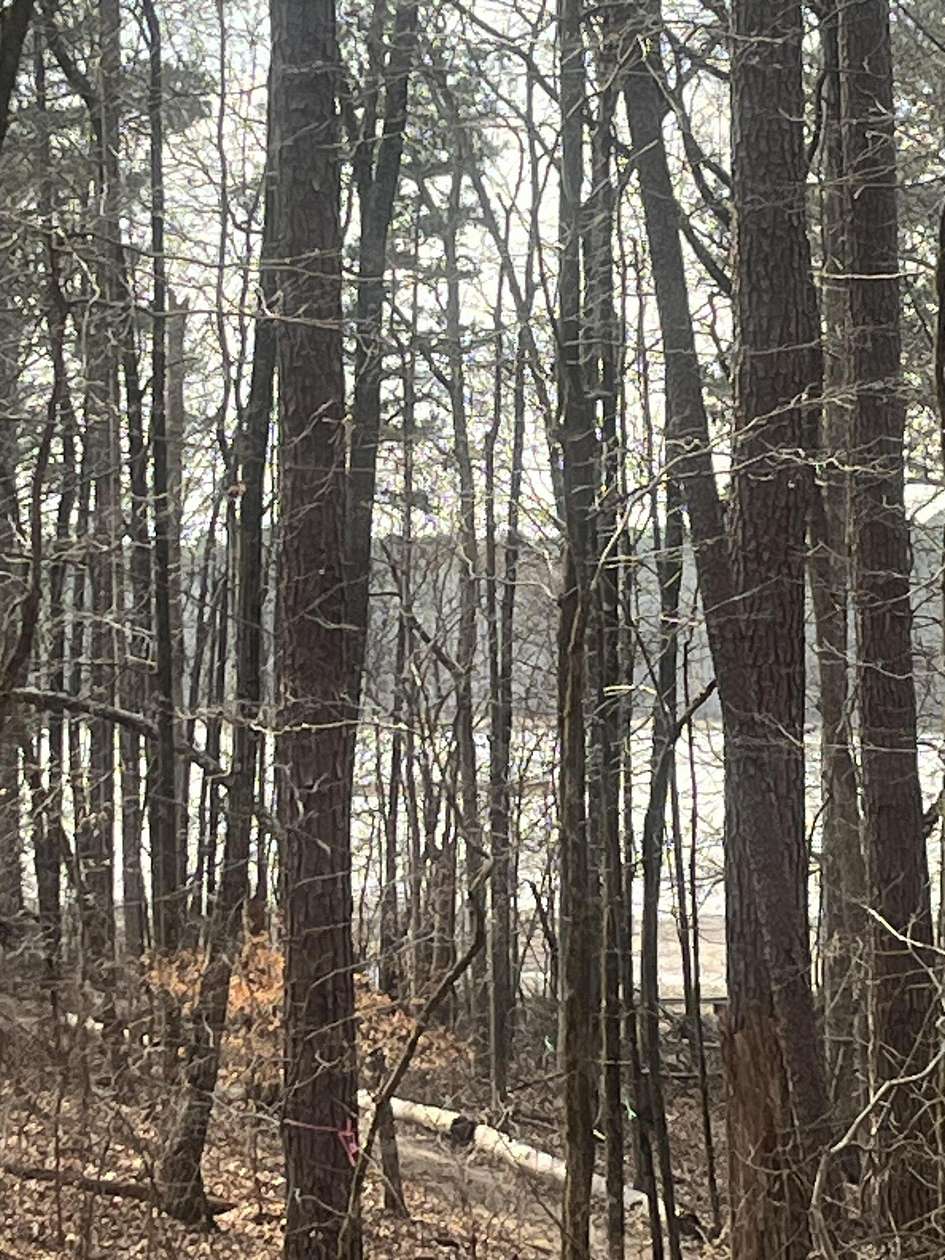 0.99 Acres of Residential Land for Sale in Lincolnton, Georgia