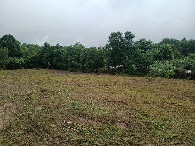 5.6 Acres of Land for Sale in Wallingford, Kentucky