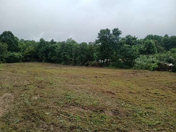 5.6 Acres of Land for Sale in Wallingford, Kentucky