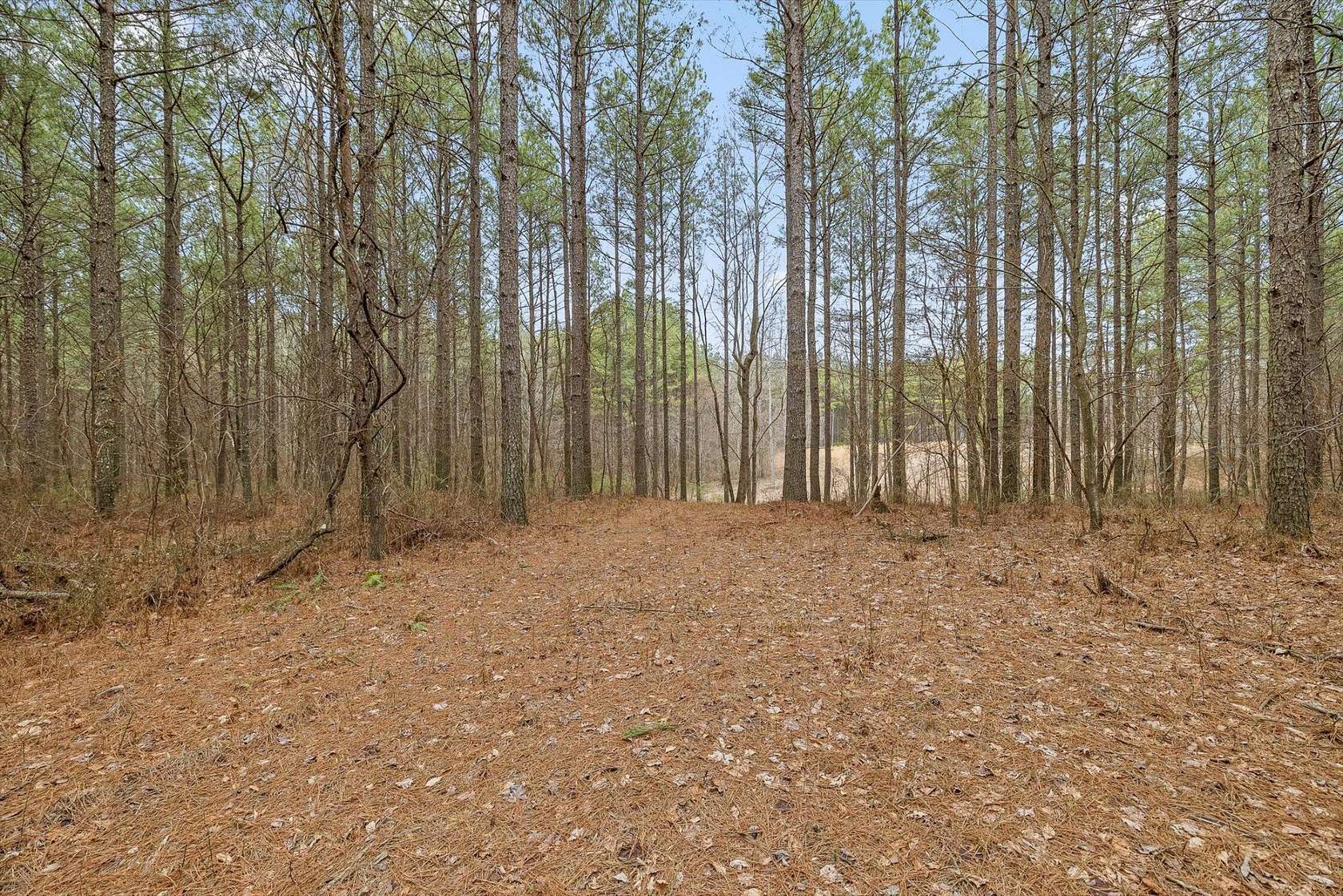2 Acres of Residential Land for Sale in Haletown, Tennessee