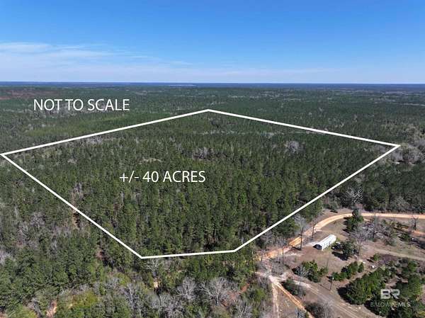 Land for Sale in Brewton, Alabama