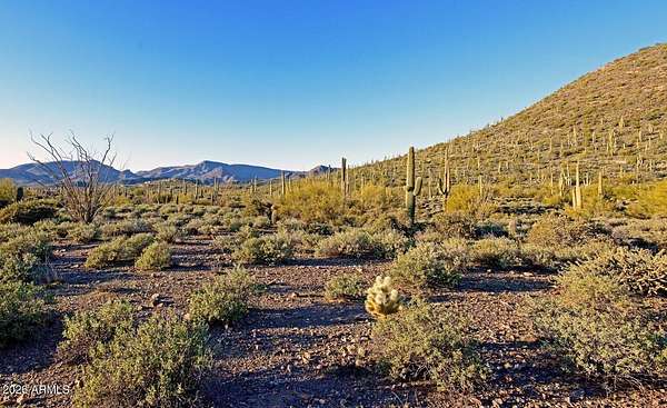 22.6 Acres of Land for Sale in Cave Creek, Arizona