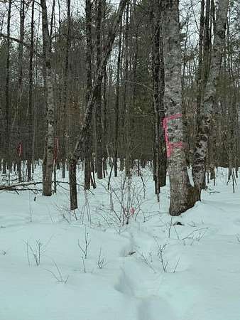20 Acres of Recreational Land for Sale in Jefferson, Maine