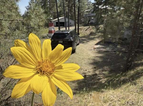 0.59 Acres of Land for Sale in Davenport, Washington