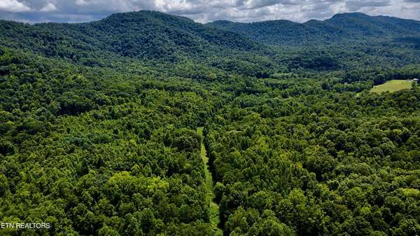 46.5 Acres of Land for Sale in Pioneer, Tennessee