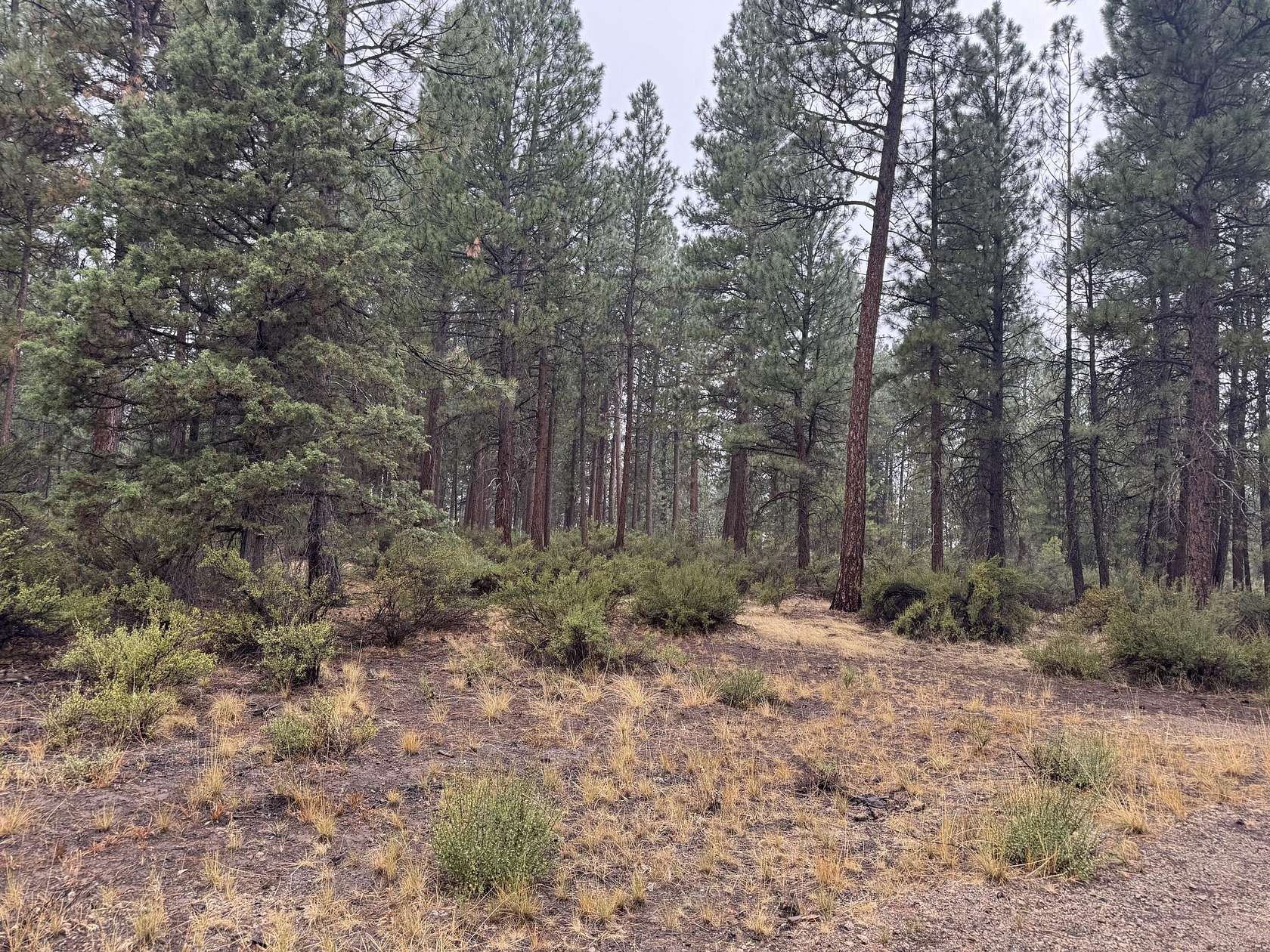 1 Acre of Land for Sale in Chiloquin, Oregon
