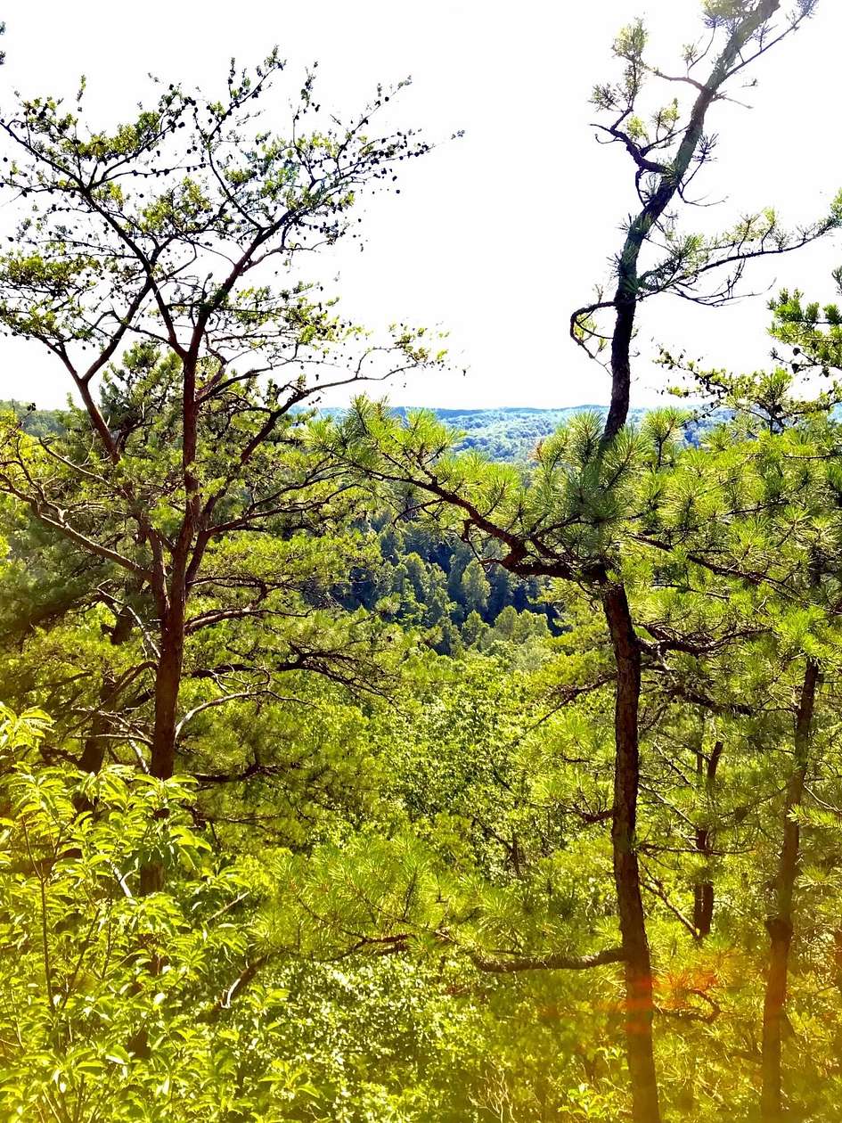 8 Acres of Land for Sale in Stanton, Kentucky