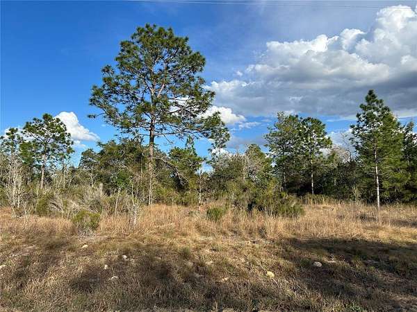 1 Acre of Residential Land for Sale in Williston, Florida