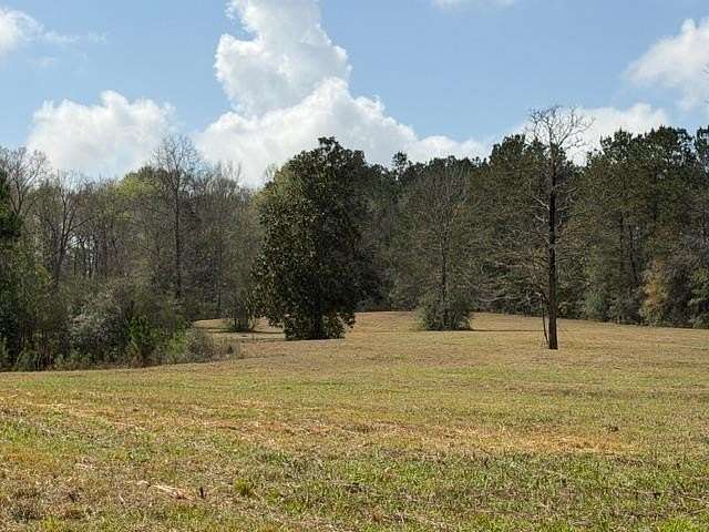 32 Acres of Land for Sale in Poplarville, Mississippi