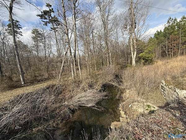 4 Acres of Land for Sale in Pisgah, Alabama
