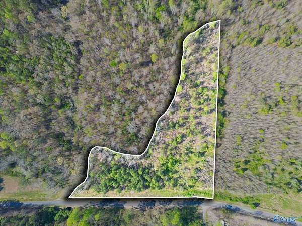 4 Acres of Land for Sale in Pisgah, Alabama