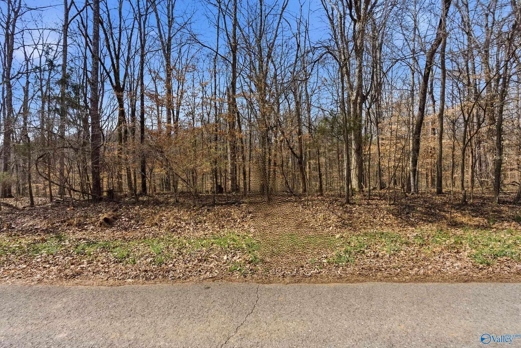 0.5 Acres of Residential Land for Sale in Elkmont, Alabama