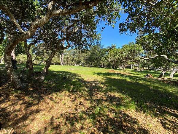 1 Acre of Residential Land for Sale in Cambria, California