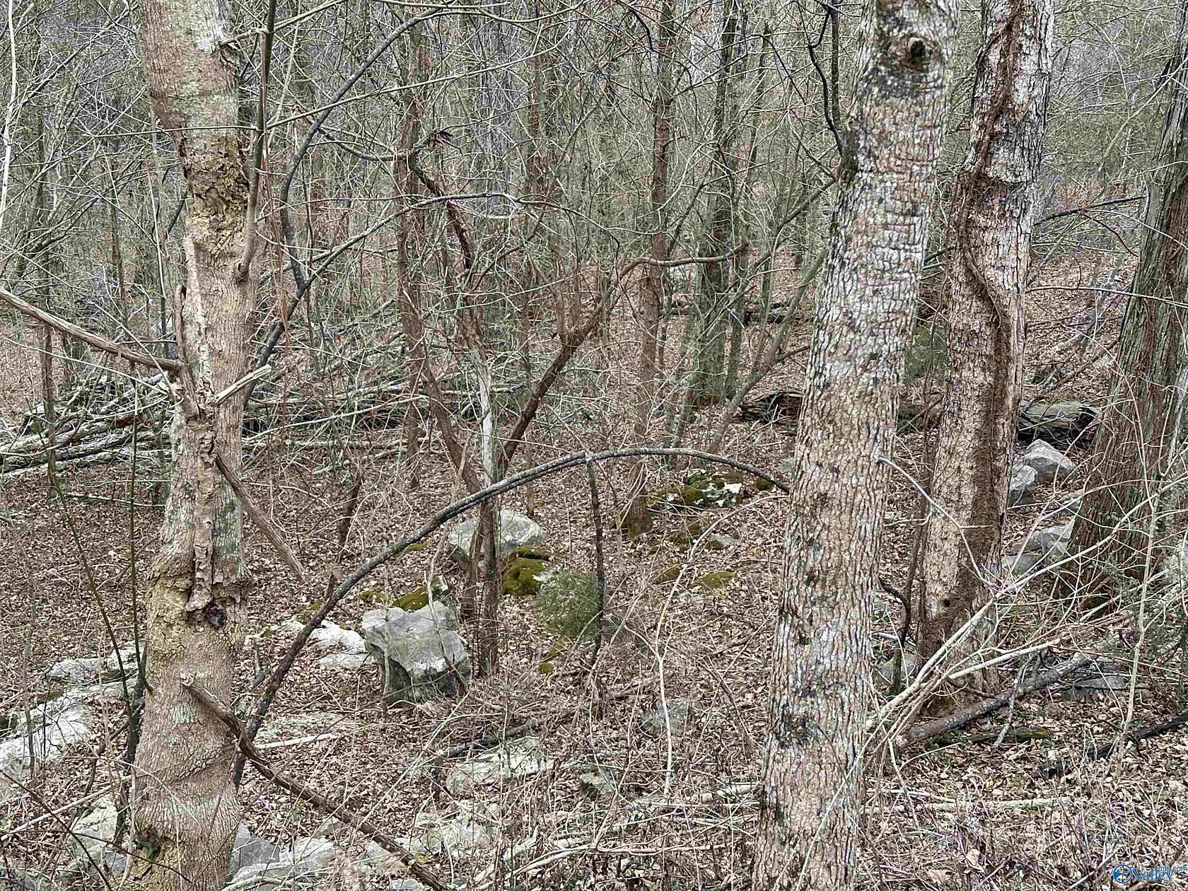 0.96 Acres of Residential Land for Sale in Brownsboro, Alabama