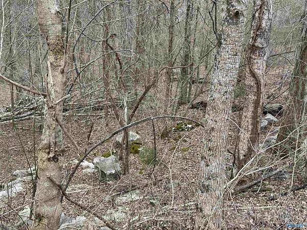 0.96 Acres of Residential Land for Sale in Brownsboro, Alabama