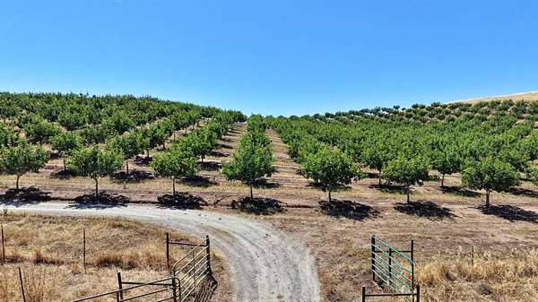 162 Acres of Land for Sale in Clovis, California