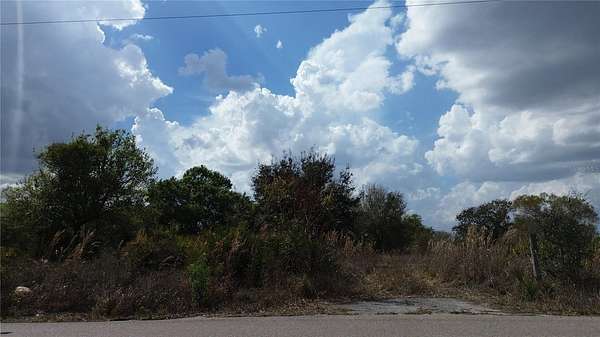 5 Acres of Residential Land for Sale in Arcadia, Florida