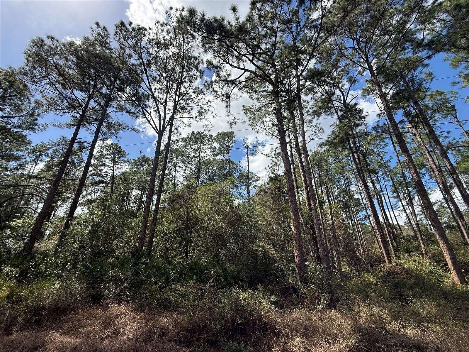 1.23 Acres of Residential Land for Sale in Eustis, Florida