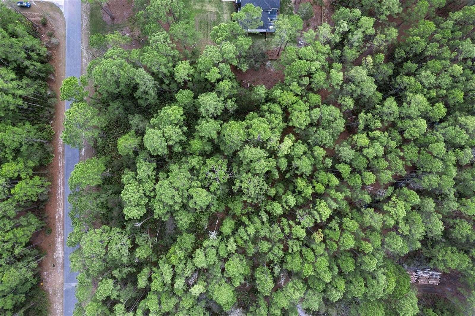 1.23 Acres of Residential Land for Sale in Eustis, Florida