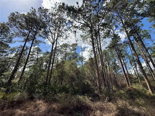 1.23 Acres of Residential Land for Sale in Eustis, Florida
