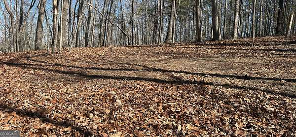 4 Acres of Residential Land for Sale in Cleveland, Georgia