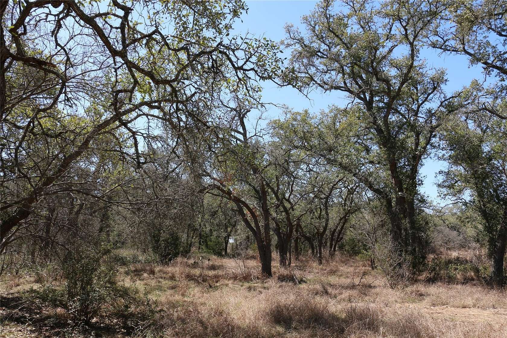138 Acres of Land for Sale in Wimberley, Texas